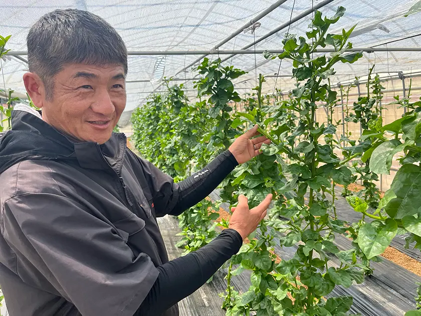 つるむらさきと橘健一郎氏