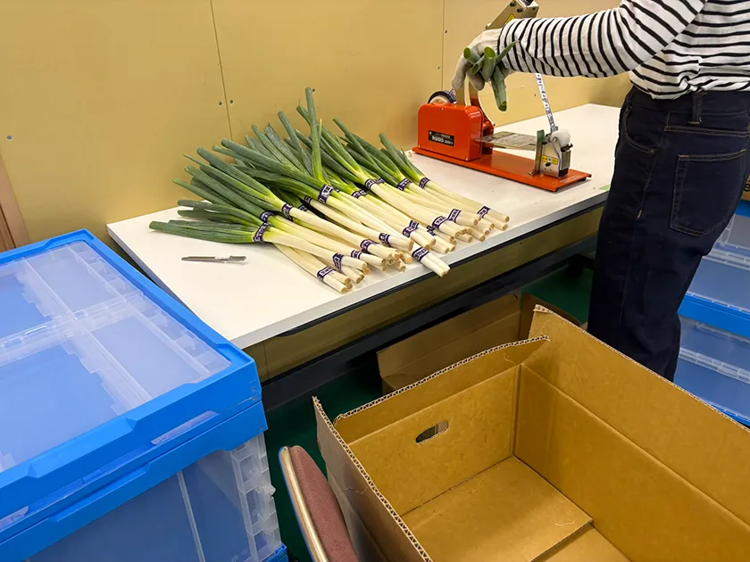 作業をしている風景